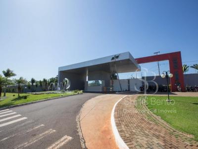 Terreno para Venda, em Maring, bairro Jardim Paraso