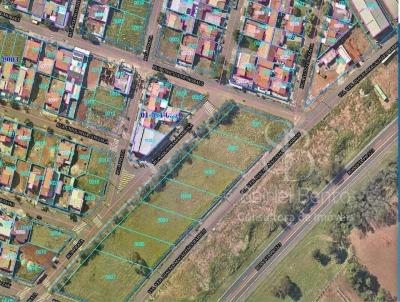 Terreno Industrial para Venda, em Cianorte, bairro Mafra II